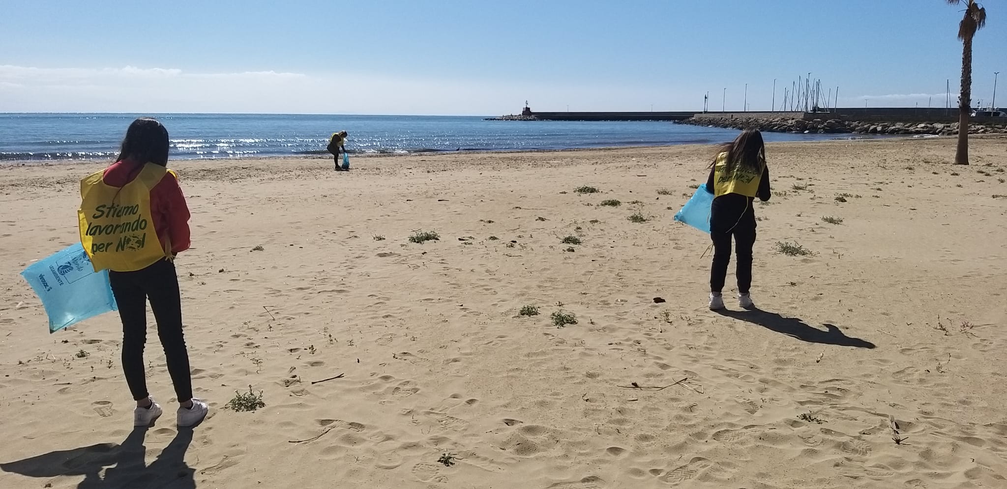 Sentinelle del verde 3